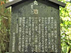 Ƃ񂳂̊ےrlւ̓eʐ^1