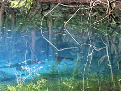 Ƃ񂳂̊ےrlւ̓eʐ^4