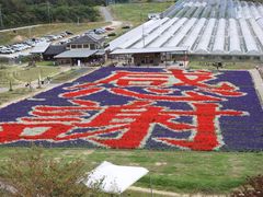 �͒j�N����̉Ԃ̉w����ւ̓��e�ʐ^1