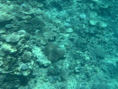 iXJ̃ANAx[Xւ̓eʐ^1