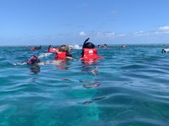 iXJ̃ANAx[Xւ̓eʐ^2