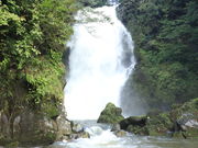 Ƃ񂳂̓ޑ]̔̓eʐ^4