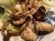 Ȃׂ̐q 򒹎xX̓eʐ^5