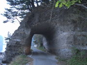 sklfh����̕��Y�g���l���̓��e�ʐ^1