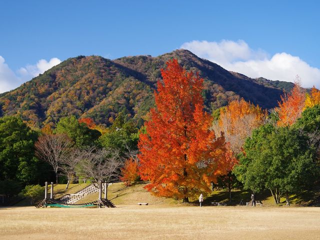 三重県民の森 アクセス 営業時間 料金情報 じゃらんnet