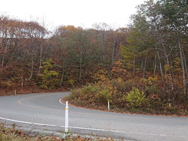 �����G�R�[���C��