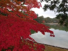 りゅうさんの毛越寺浄土庭園への投稿写真1