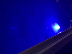 ܂₳̏M̓AN[Yւ̓eʐ^1