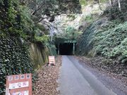 kPĂ郉C_[̏Y`Ԃ̘e̓eʐ^1