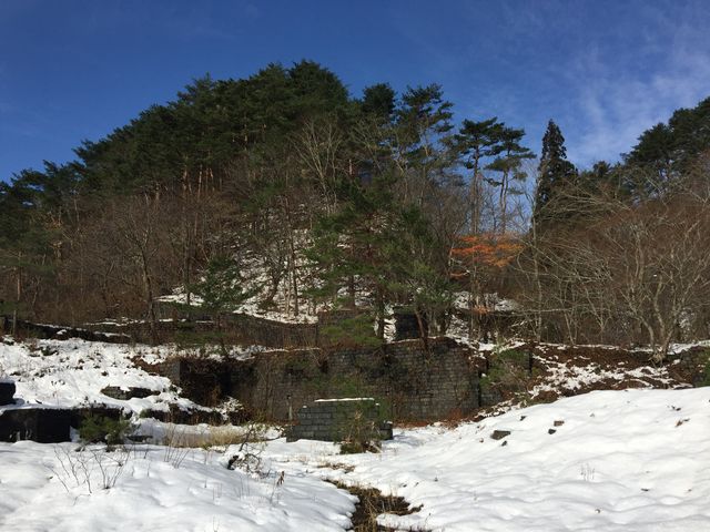 �v�ǂ̂悤�c_�k�㑃��