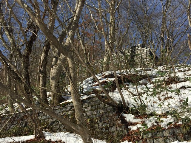 ���͂���܂�_�k�㑃��