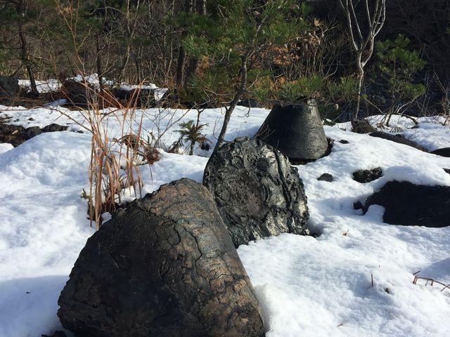 �z�R�̖��c�͎���Ƃ����_�k�㑃��