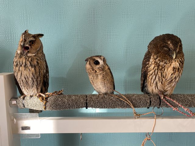 �����̕��ɐ��������ė~�������ł��I
�V�N�ł���B_�ӂꂠ���J�t�F ���ӂ肱����