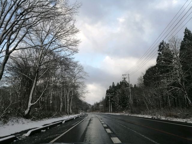 11�����{�̎O���X���ɂ͐Ⴊ�c_������  �L�|����