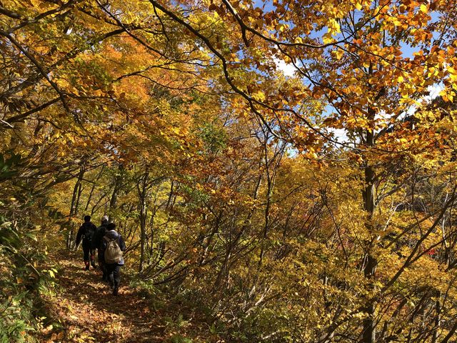 �g�t�g���l��_�k�㑃��