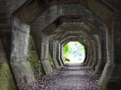 タカシさんの熊延鉄道　八角トンネルの投稿写真3