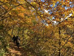 nonko̖k㑃ւ̓eʐ^1