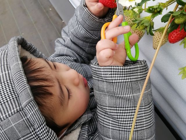 �q���������喞����_�ԍՂ������̒J