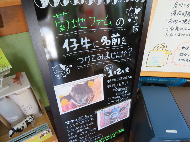 e̖Ol悤_kikuchifarm cafe