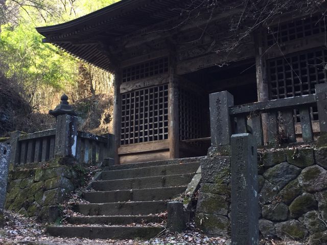 ���ԏꂩ�炵�΂炭�オ���Ă����Ƃ��̌����������Ă��܂��B�����ЂƂ����Ŗ{�a�ɒ����܂��B_�z���R�ߑ���