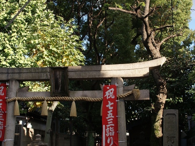 �����ł��B_���{���q�_��