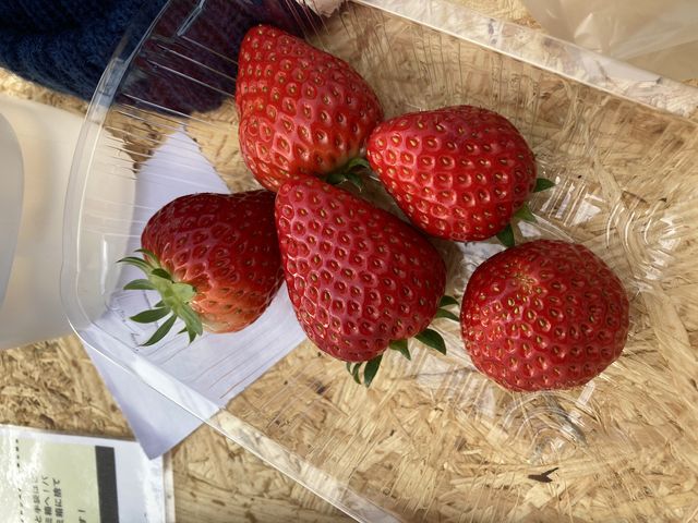 ���n_�͖쉀�|