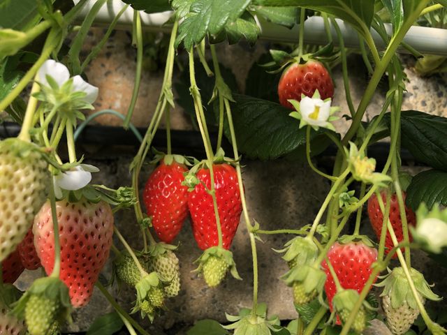 �Á`_�T�N�U�_��