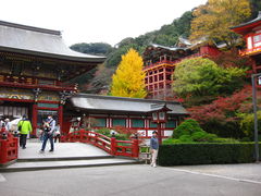 祐徳稲荷神社の口コミ一覧 じゃらんnet