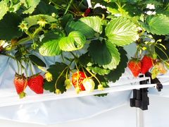 Ȃ̃AOX^[XyVւ̓eʐ^1