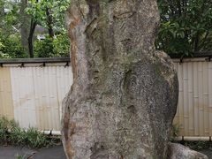 Yanwenliさんの芭蕉の句碑（住吉公園）への投稿写真1