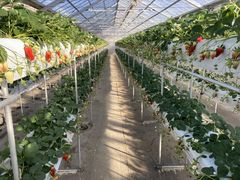 shin0516̏aMn@cւ̓eʐ^1