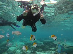 ̃_Cu (MalDive)ւ̓eʐ^1