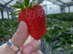 ܂݂񂳂̂Ƃ悳t@[ւ̓eʐ^1