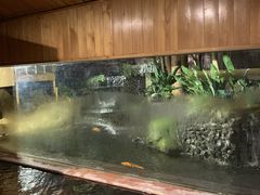 �Ƃ�����񂳂�̑吳���ւ̓��e�ʐ^1