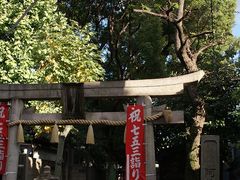 Yanwenlï{q_Ђւ̓eʐ^1