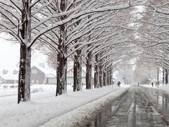 ^ܘYۂ̃^ZRCA؂ւ̓eʐ^1