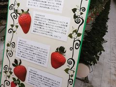 ܂肦Ă̈hN_ւ̓eʐ^1