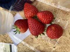 񂳂͖̉쉀|ւ̓eʐ^2