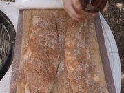 RW̃XyAunEX nEfB Howdy XؓX̓eʐ^3