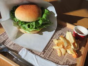 yosshykikuchifarm cafe̓eʐ^8