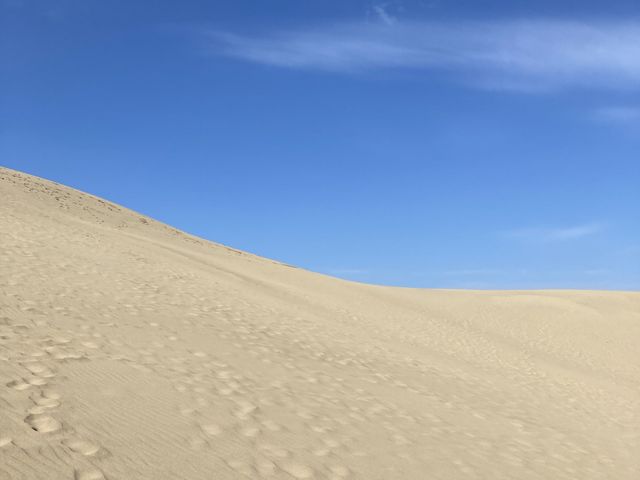 ����ƃT���T���̍��l�I_���捻�u