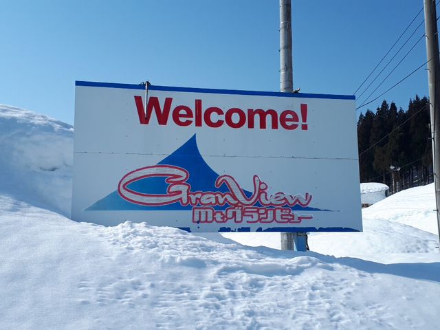 �Ŕ�_Mt�O�����r���[