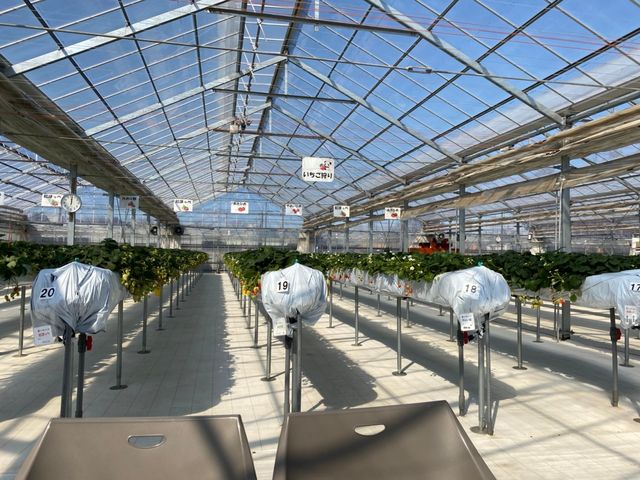 ���낢��Ȏ�ނ̂��������y���߂܂����B�H�ה�ׂŖ��̈Ⴂ���y���݂܂���_�J�E�x����������