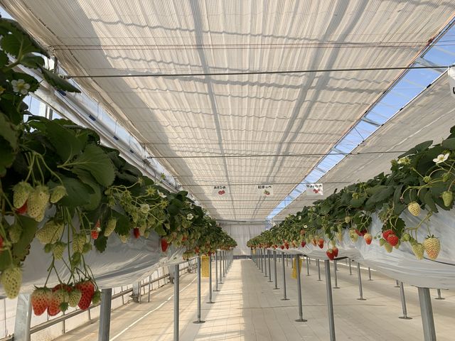 ���[���̎ʐ^_�J�E�x����������