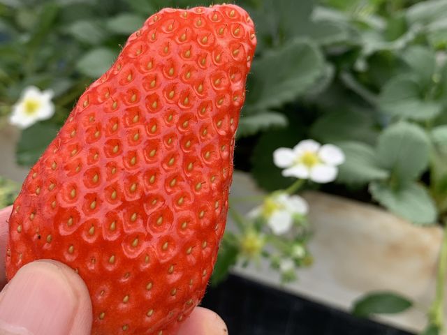 �߂��Ⴍ����Â������ł��B_��������_��