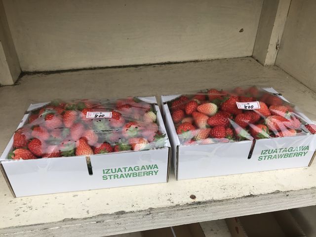 �����R�[�i�[�̃W�����p�������ł��B���̃R�[�i�[�̎�O�����ԏ�ł��B_��̌���