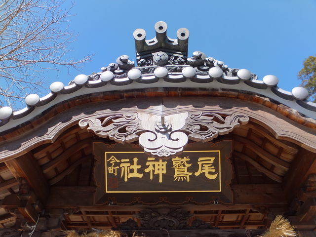 �������̝G�z_���h�_��