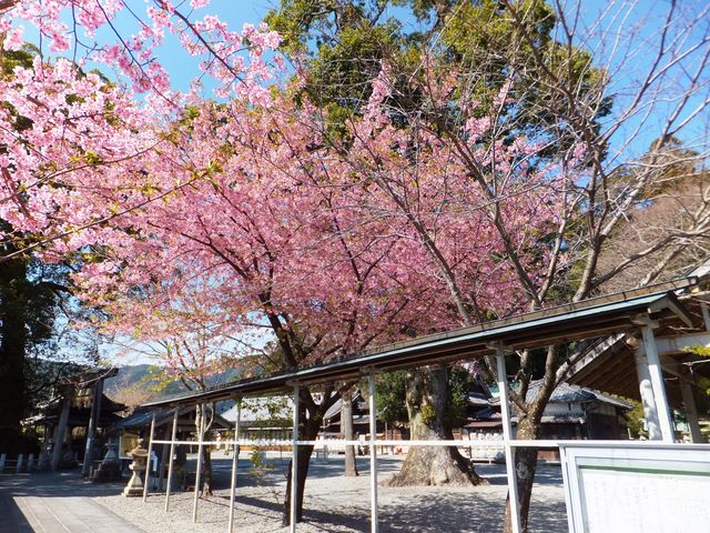 ���h�_�Ђ͑��炫�̉͒Í����L���ł��B_���h�_��