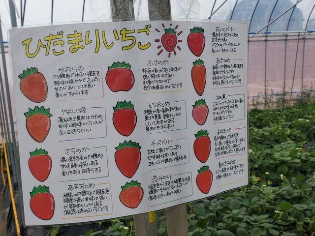 �i��_�Ђ��܂�_��