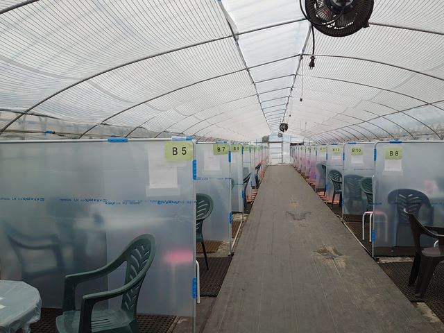 �x�e��ł��B�������̃J�[�h�ԍ��̏��ɁB_���t䕉�